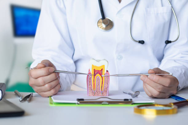 Best Emergency Broken Tooth Repair in Wolfdale, PA